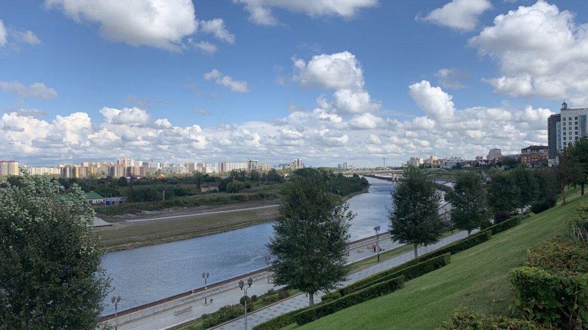 План развития лесобазы тюмень