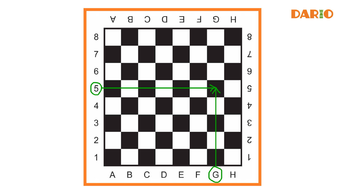 Название клеточки = буква + цифра. 