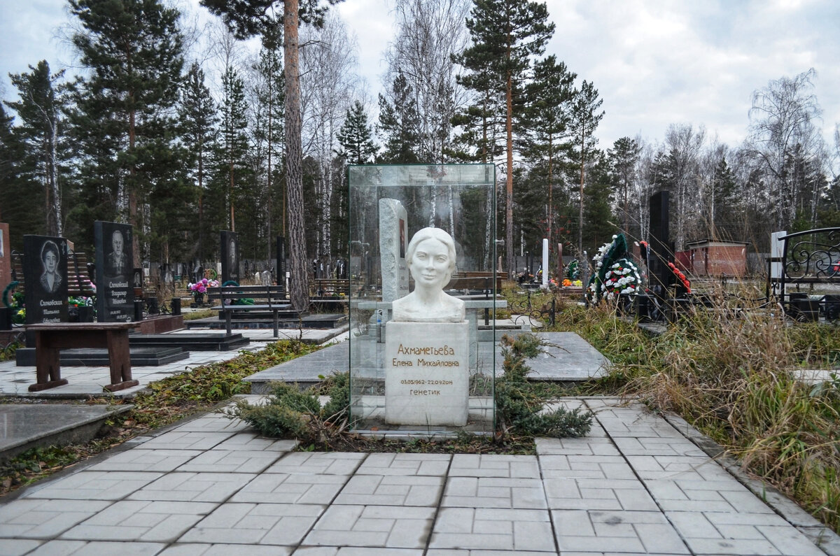 Заельцовское кладбище новосибирск найти могилу. Клещихинское кладбище Новосибирск. Кладбище Южное Новосибирск Академгородок. Нижнеельцовское кладбище Новосибирск. Гусинобродское кладбище Новосибирск.