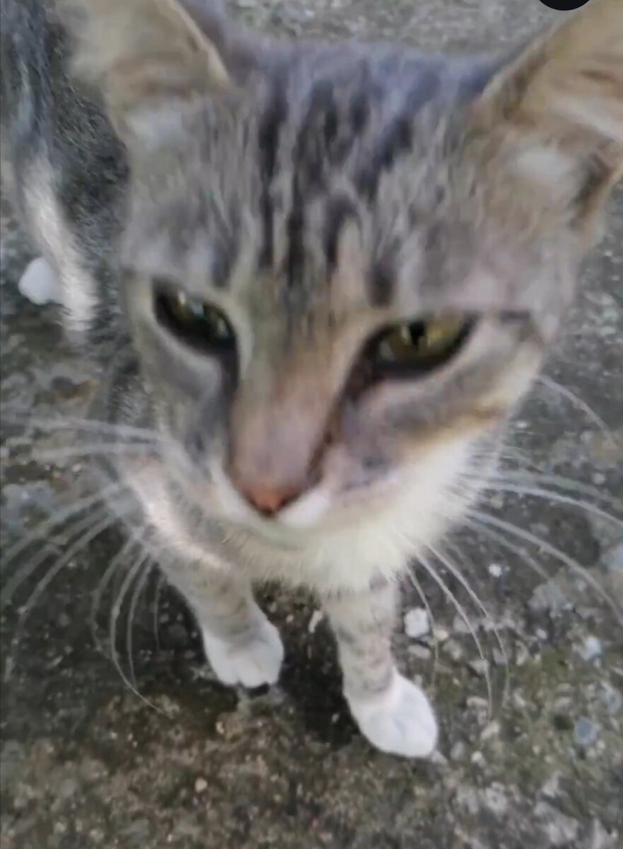 Вот она, красавица! 