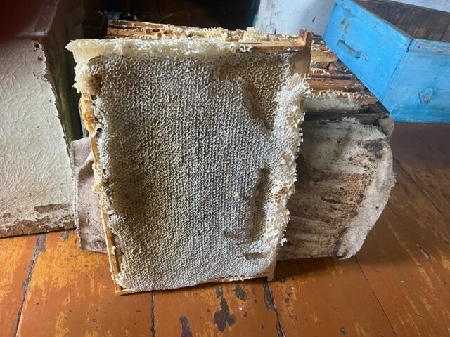 РАМКА С МЕДОМ. ЧТОБЫ МЕД СТЕК,НУЖНО СРЕЗАТЬ ВЕРХНИЙ СЛОЙ.