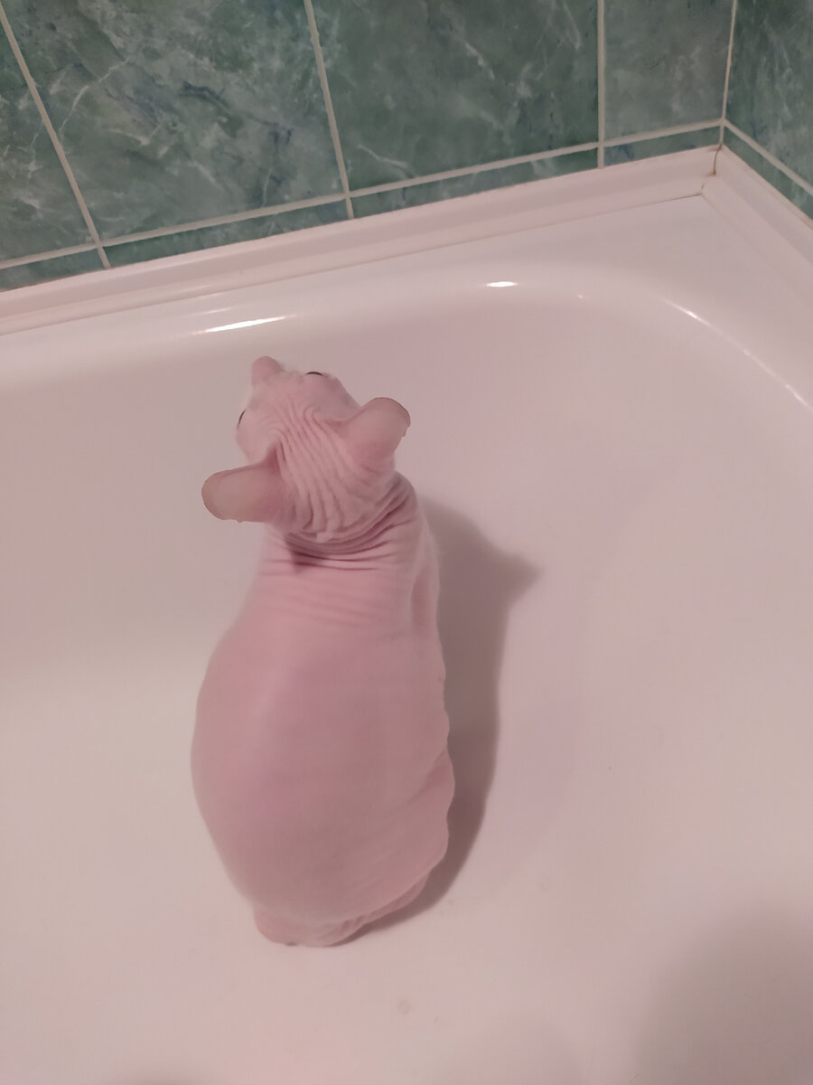 ночное караоке выглядит приблизительно вот так, только в полной темноте