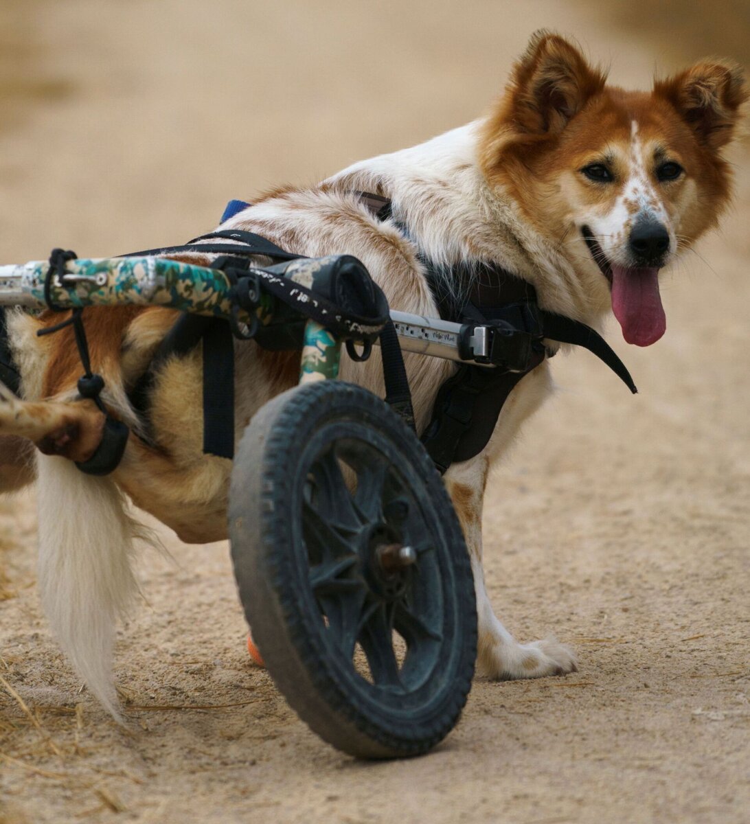 Фото из интернета для привлечения внимания