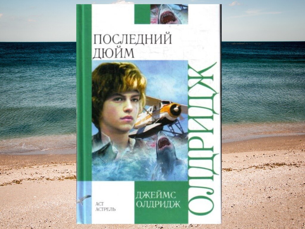 олдридж последний дюйм книга. джеймс олдридж последний дюйм рисунки. дж олдридж последний дюйм. последний дюйм автор. олдридж последний дюйм книга.