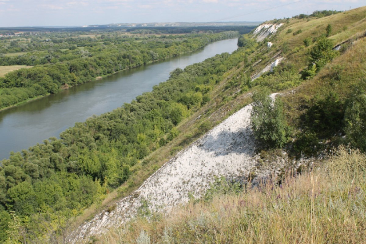 Воронежская область Острогожский район село Сторожевое