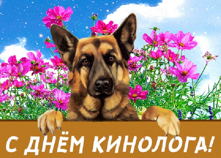 Фото из интернета.