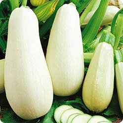 Шаг 1. Выбор места для грядки