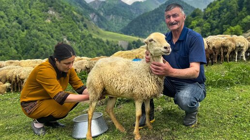 Деревенский Сыр Приготовленный Из Свежего Бараньего Молока ...