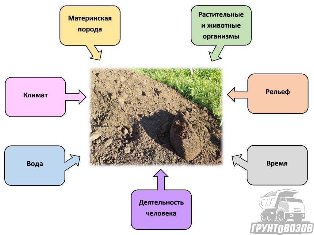 Схема почвообразующие факторы