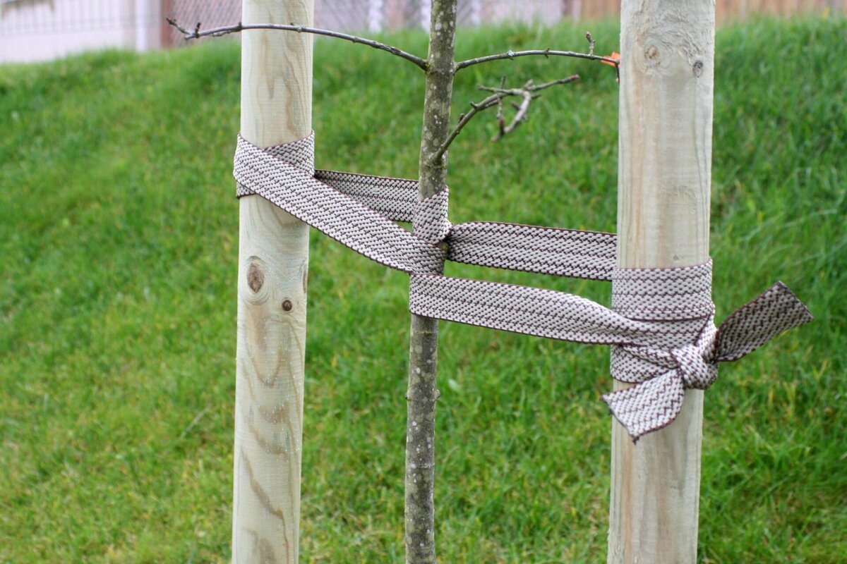 Кроме того, как определить, когда задание превышает ваши возможности