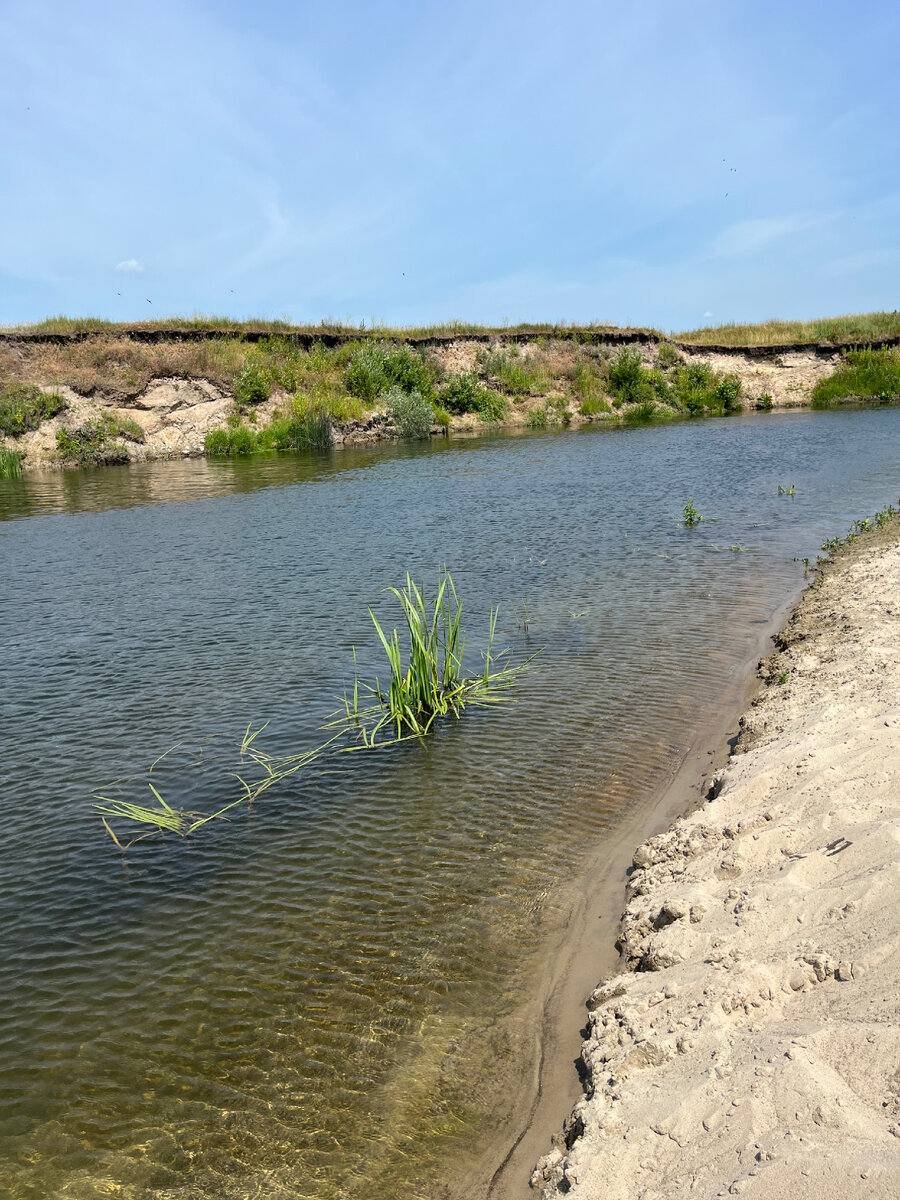 Река Сейм в Курской области, в ней еще можно купаться  💪🧜‍♂️🧞‍♂️🌊🌊🏊‍♂️🚣‍♂️ | Мажорка на пенсии | Дзен