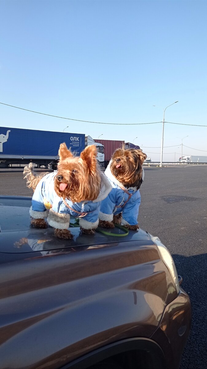 Малыши на трассе