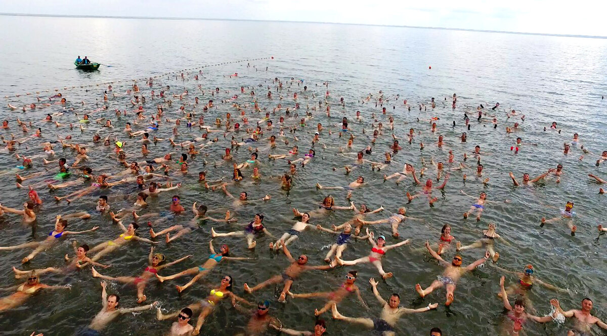 Фото из интернета. Яровое