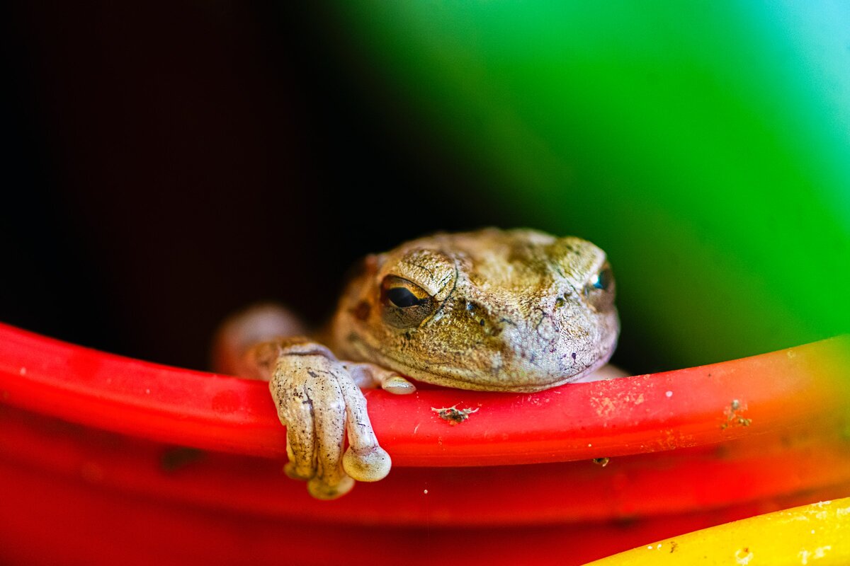 Картинка с бесплатного фотостока https://unsplash.com, автор Karl Callwood