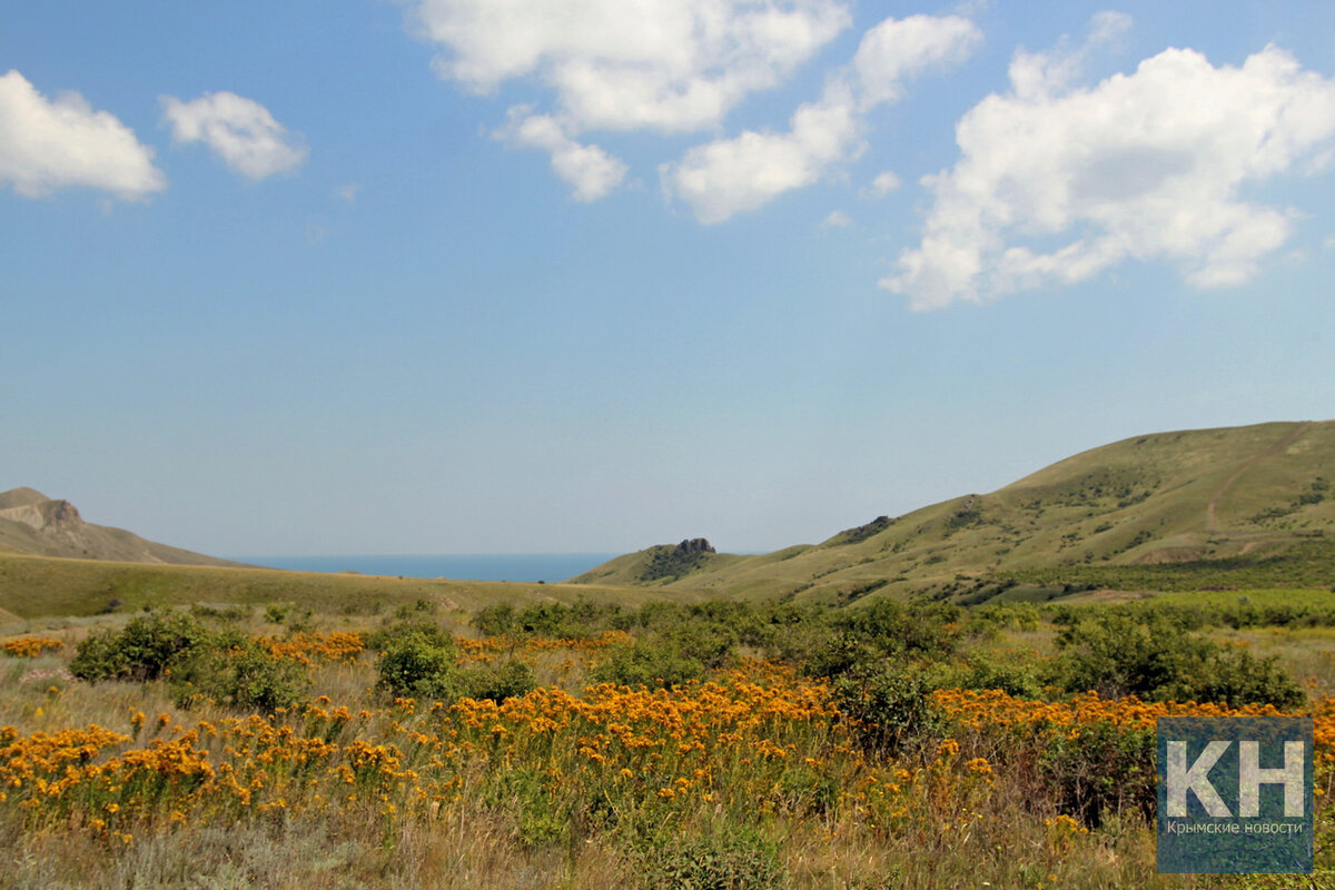 Солнце на небе и на земле