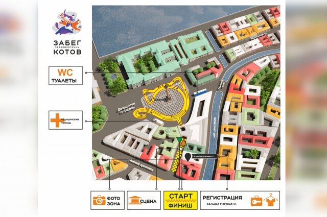    Фото: забегпетербургскихкотов.рф