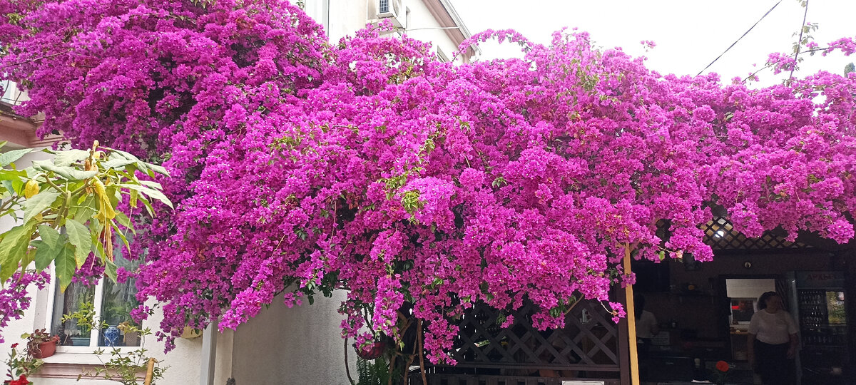 Фото автора,лето 2023 год