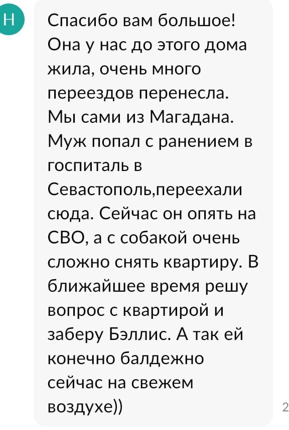 Бэллис проделала долгий путь к нам, аж из Магадана.  Вечная проблема - снять жильё с собакой.  Ну да ничего. Найдут жильё, обязательно найдут. И папа вернётся.-2