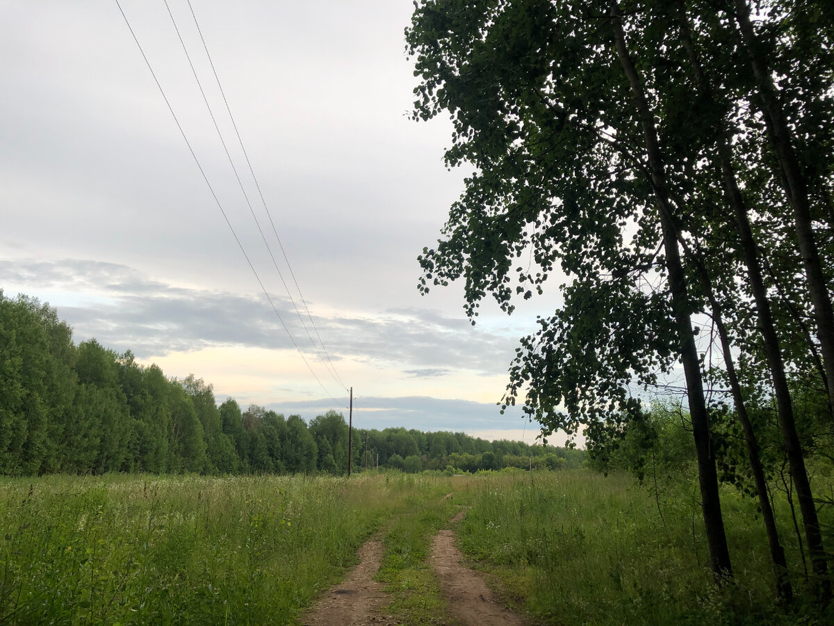 Управление эмоциями избавит от тревожности и страха