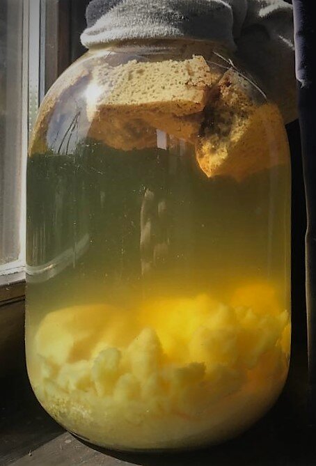 Квас на 2-3 день