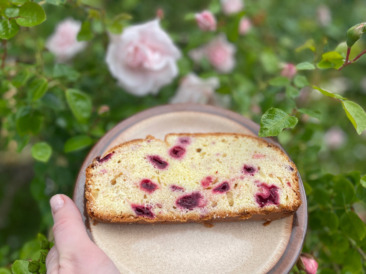 Безглютеновый пирог из рисовой муки с ягодами