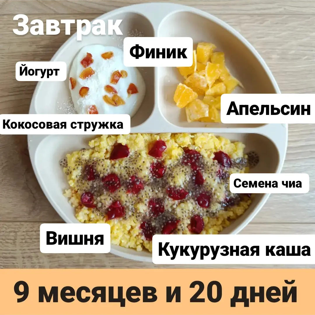 Пример тарелки в 9 месяцев 