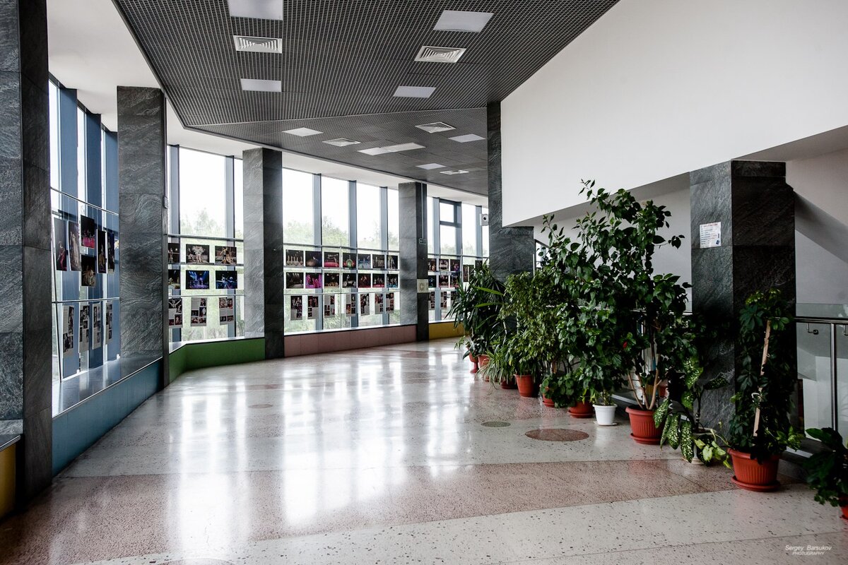 Фото пресс-службы Омского цирка