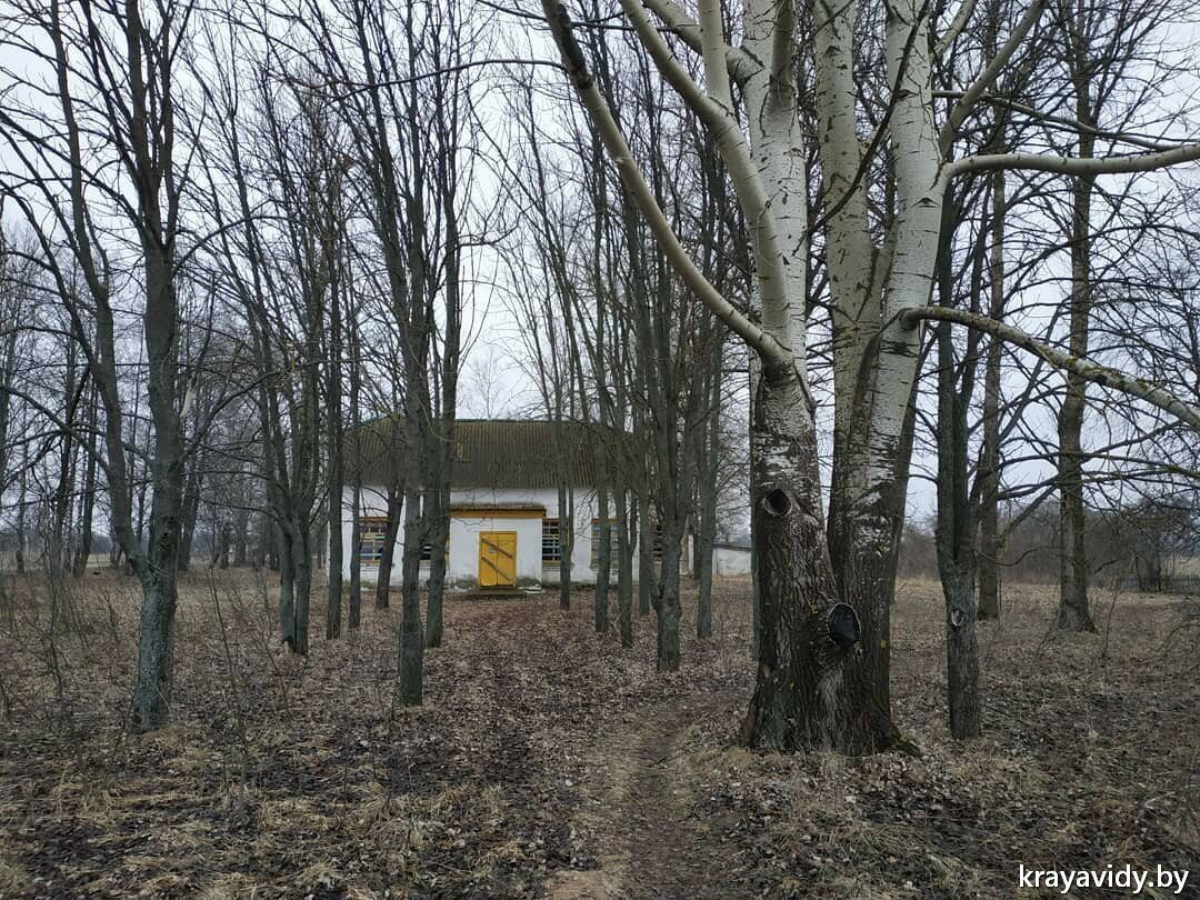 Лайфхак из Белоруссии. Показываю какой дом я приобрёл у государства за 1000  рублей | КРАЯВИДЫ | Дзен