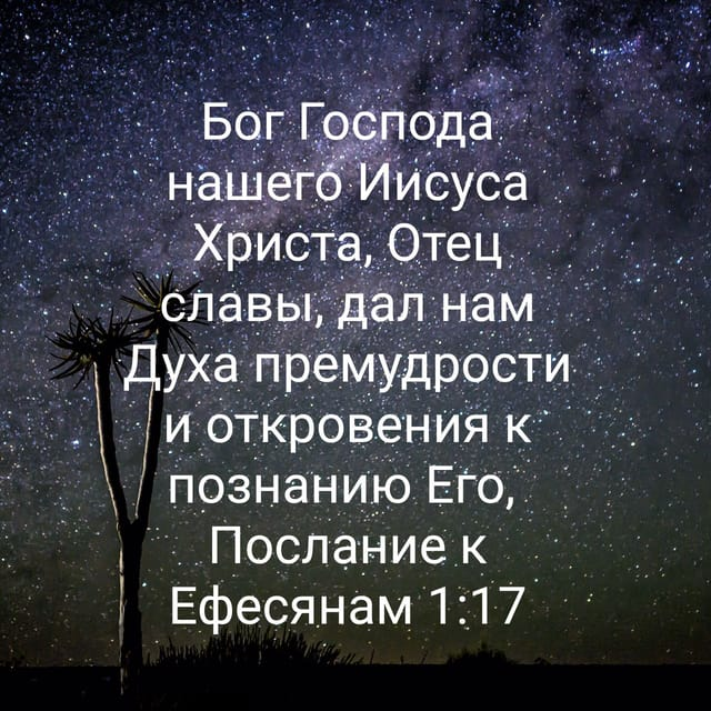 Картинка взята из общего и свободного доступа в интернет