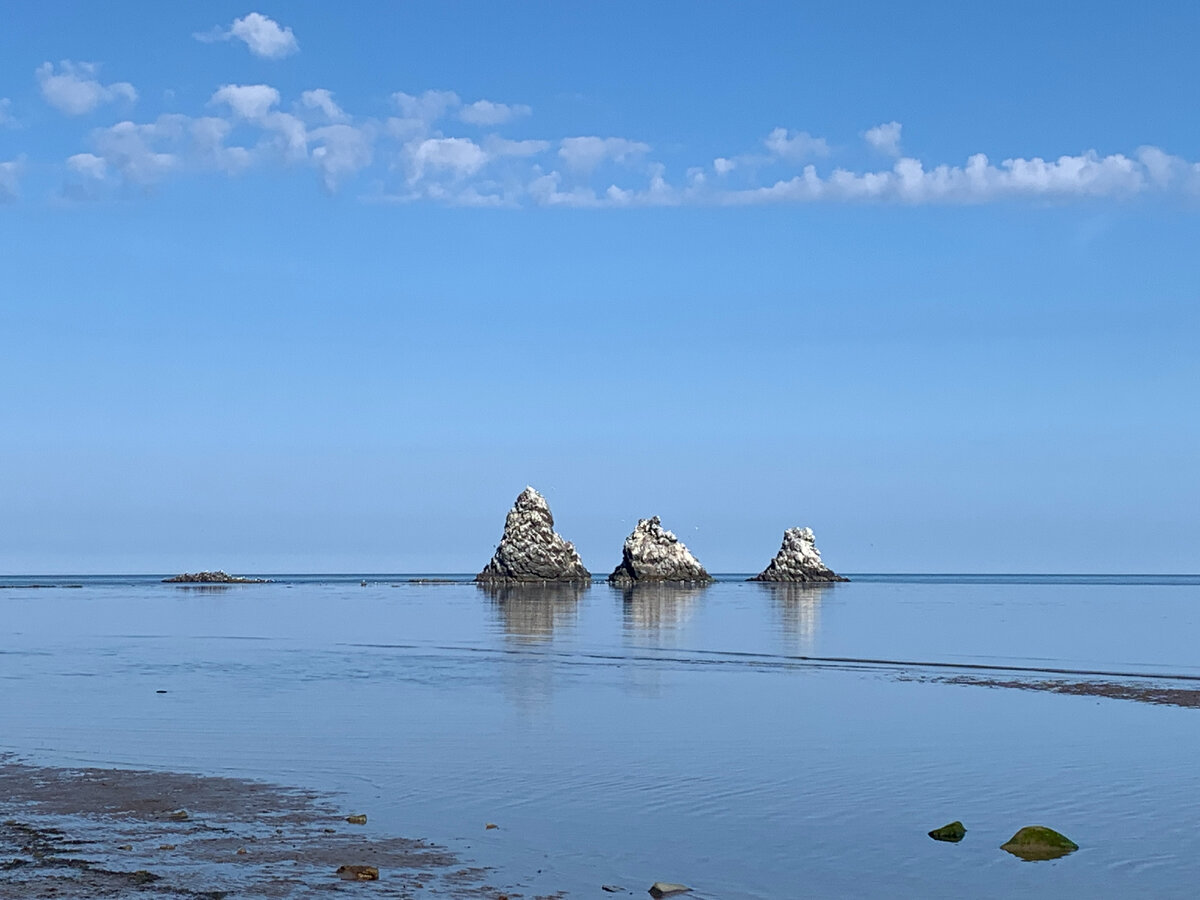 Александровск-Сахалинский центральный районный Дом культуры | Наши достижения