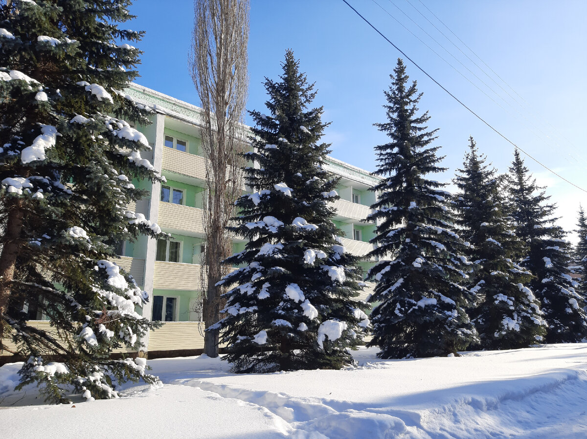 Свежий воздух, сосны,ели.