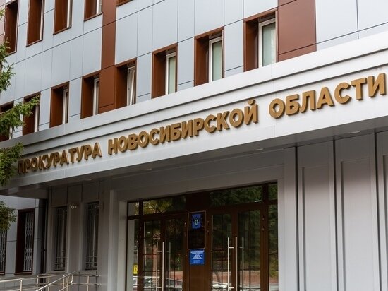     Фото: Густаво Зырянов / МК в Новосибирске