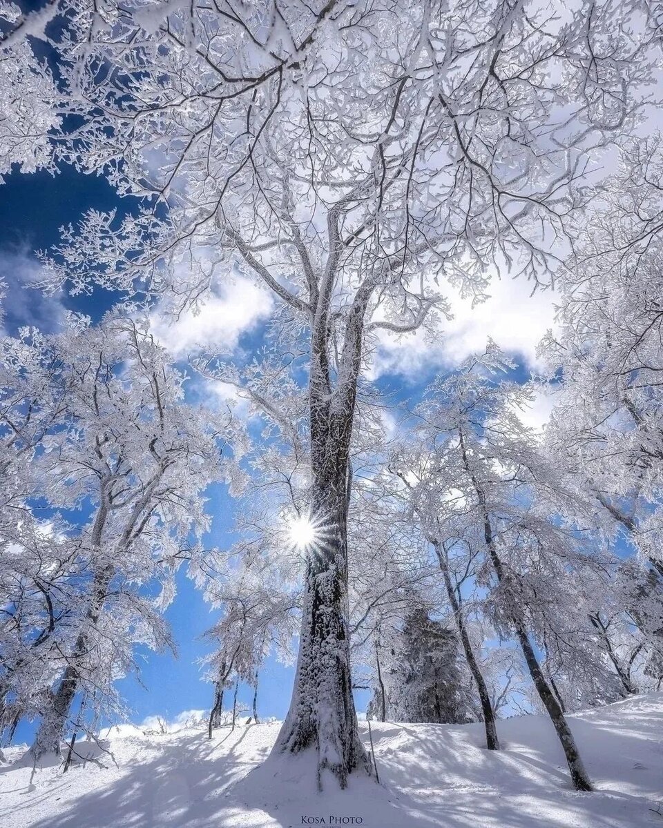 Картинка из сети интернет в свободном доступе, спасибо автору.