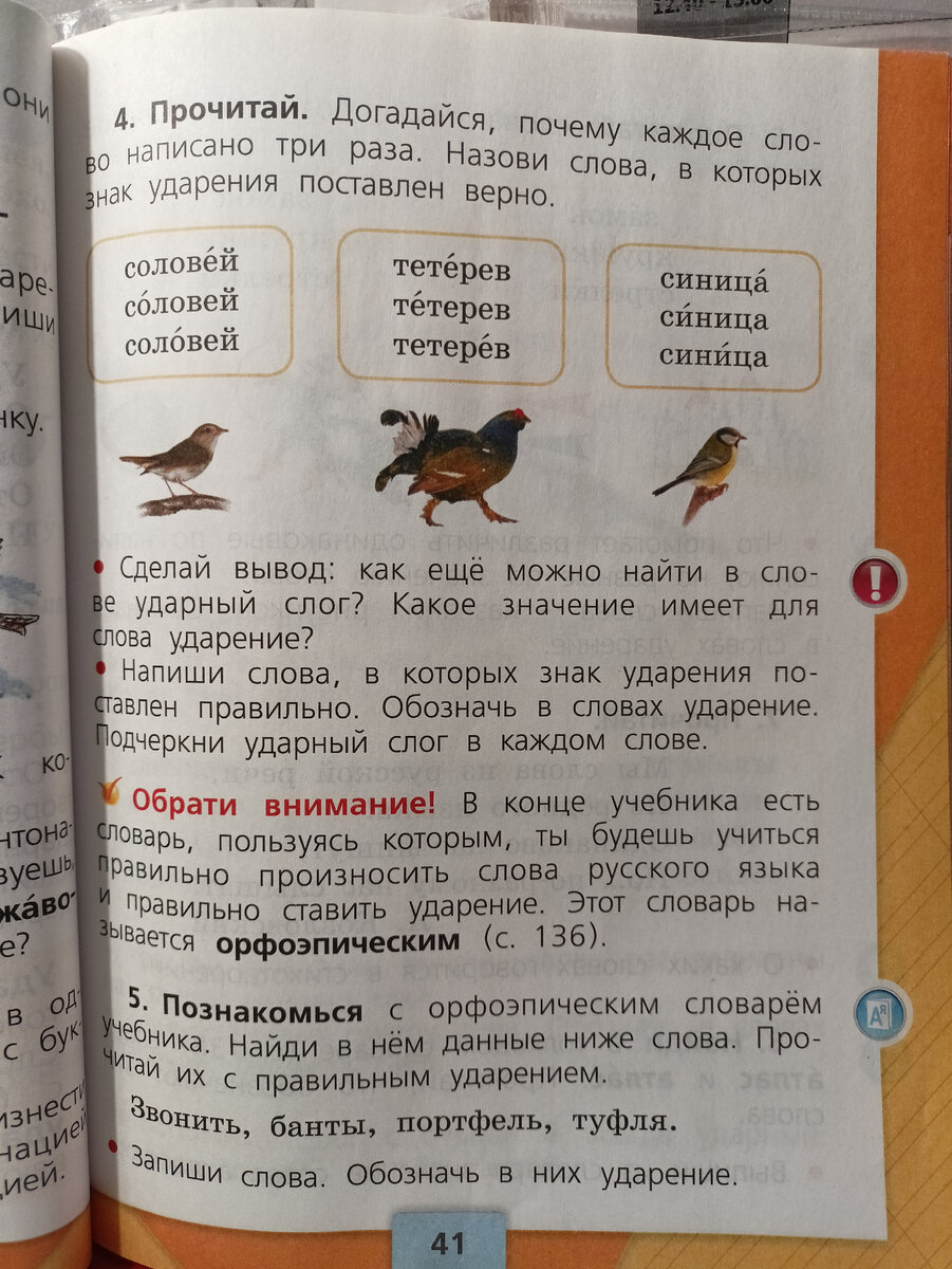 1 класс. Русский язык. Даже трижды прочитав задание, я не смогла понять,  что хотел автор учебника. | Будни Черной Кошки | Дзен