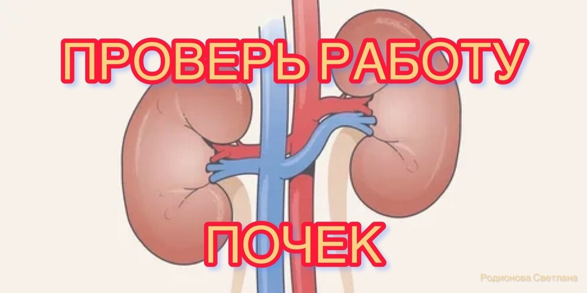 капсула нефрона функция. почечная форма подагры. хронические заболевания почек факторы риска. почки анализ крови биохимия. капсула нефрона состоит из.