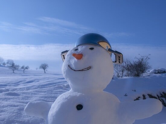     Фото: pxhere.com