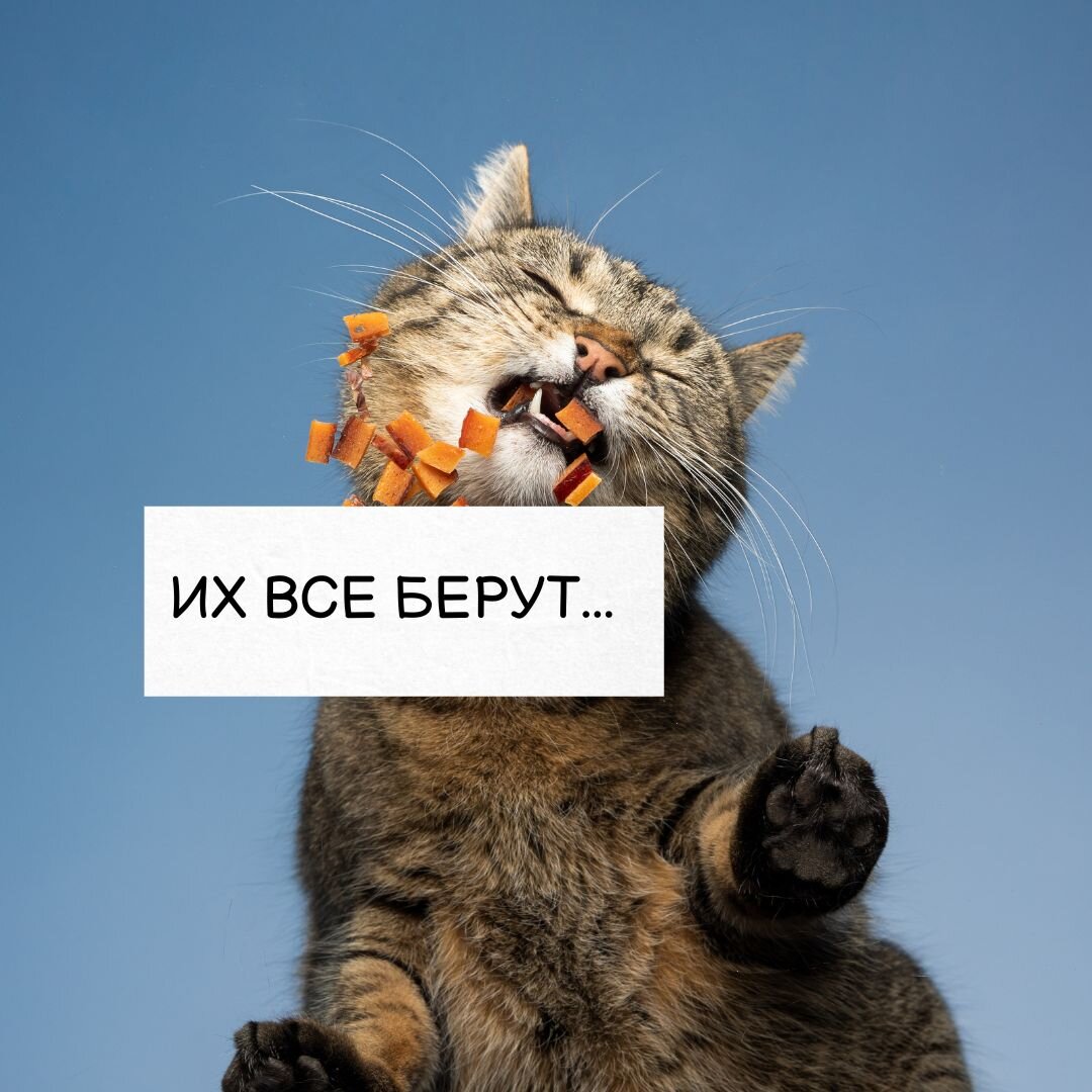 Подписывайтесь. 