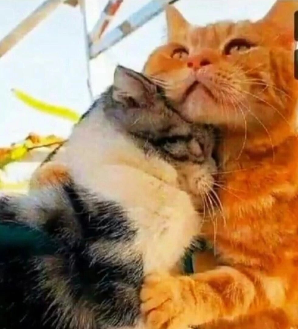 картинка из просторов