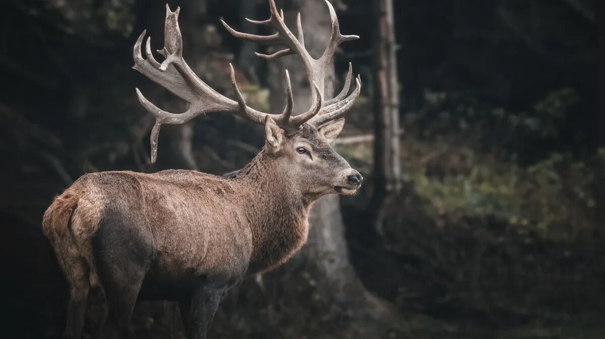 Фото: pexels.com