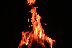    Фото: unsplash.com Ирина Моргунова