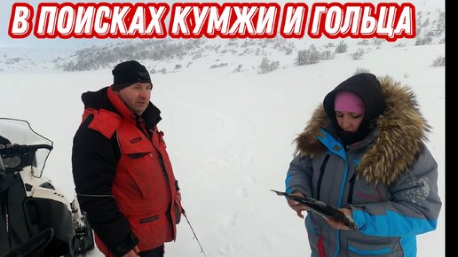 На МОТОБУКСИРОВЩИКЕ в поисках ГОЛЬЦА и КУМЖИ. Съездили в гости на ДАЛЬНИЙ КОРДОН.