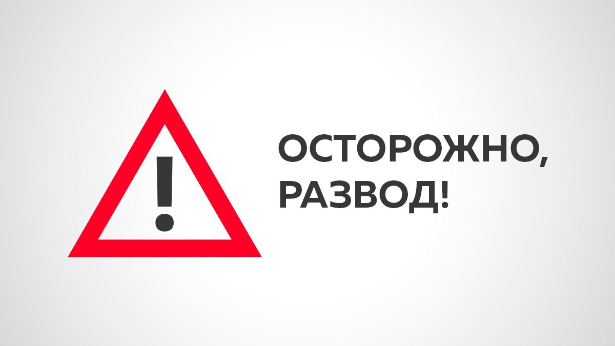 Фото из свободного доступа.