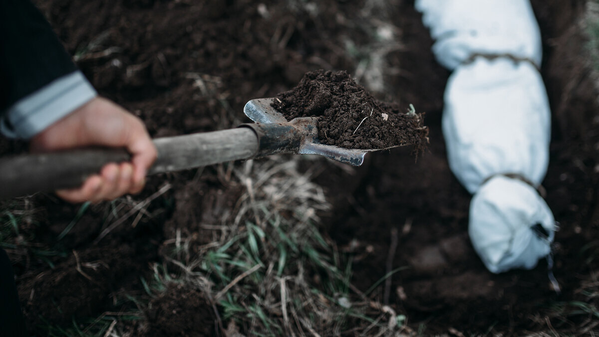 Изображение взято из открытых источников интернета. 