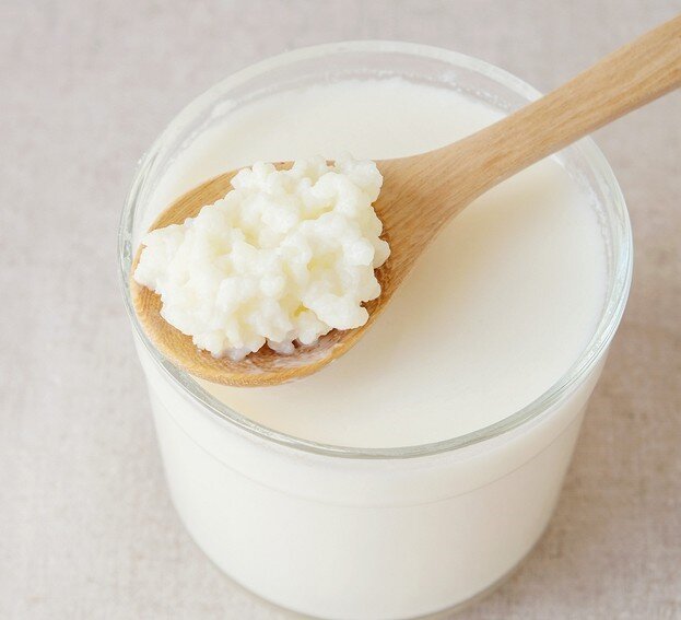 Молочный гриб.