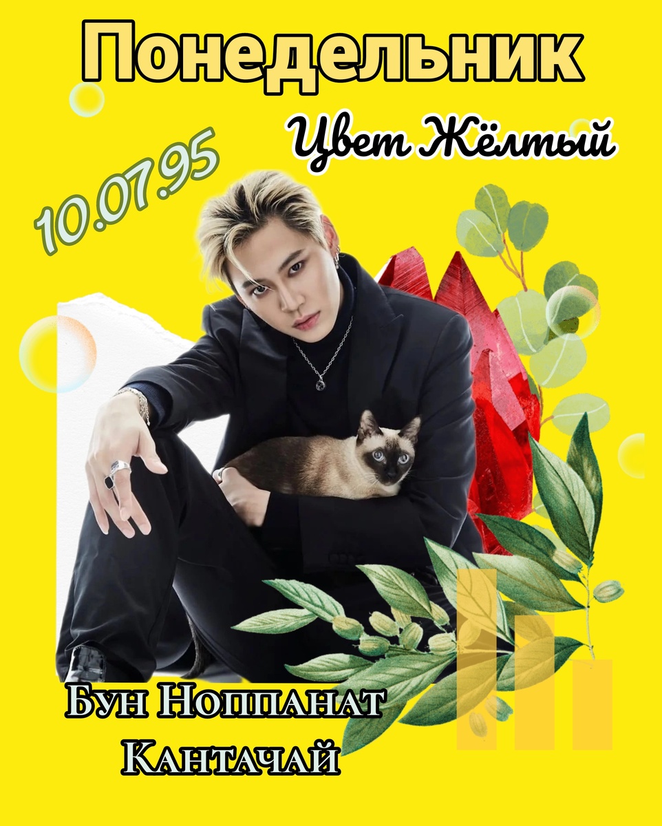 Понедельник ~ Жёлтый ~родился Бун Ноппанат Кантачай