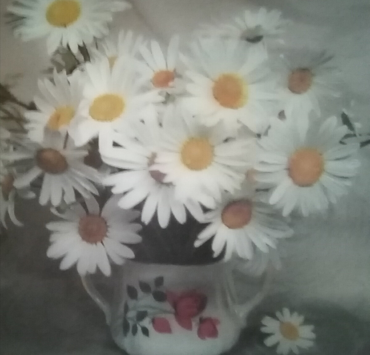 Люблю ромашки белые. 