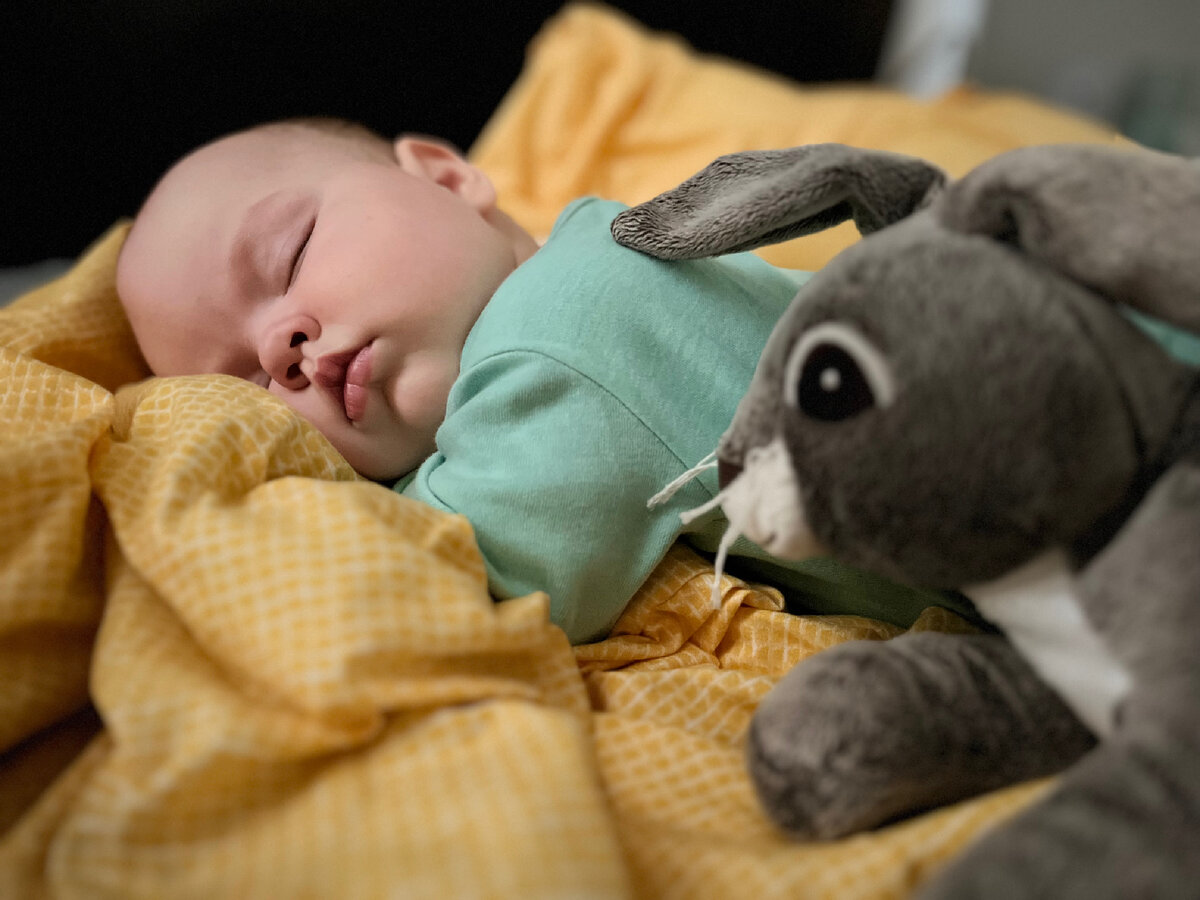 Особенности отношений ребенка с мягкой игрушкой | Семейка Пуховых👨‍👩‍👧 |  Дзен