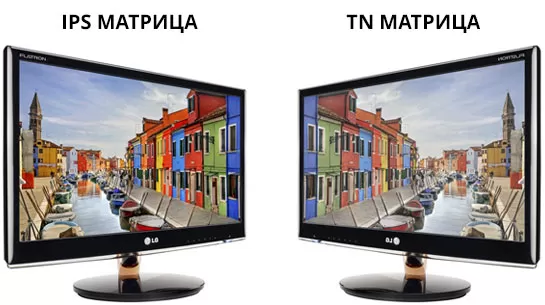 Отличие ips. Монитор с TN матрицей. Матрица TN И IPS. TN матрица vs IPS. TN IPS TN TFT.