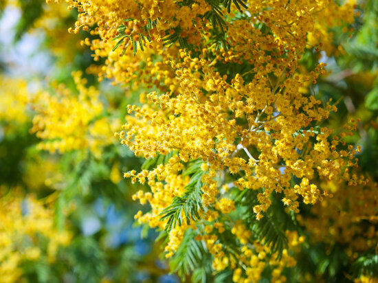     Фото Freepic.com