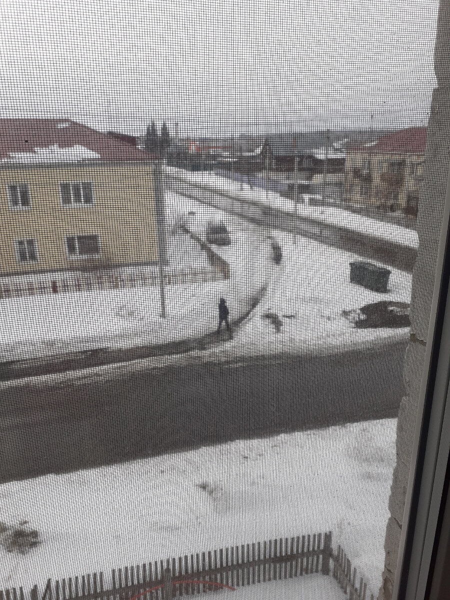 А из матери окна лишь провинция видна